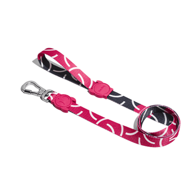 NARA LEASH1