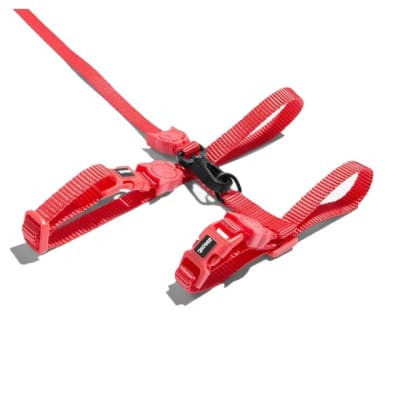 NEON CORAL CAT HARNESS + LEASH1