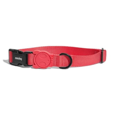 NEON CORAL COLLAR1