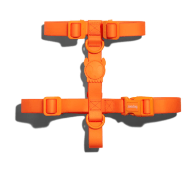 NEOPRO TANGERINE H-HARNESS1