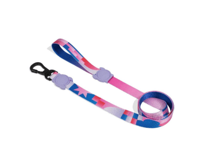 NOON LEASH1