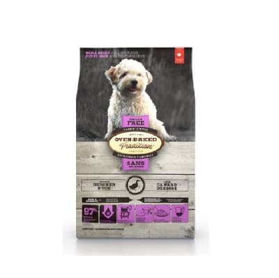 OBT G FREE SMALL BREEDS - DUCK