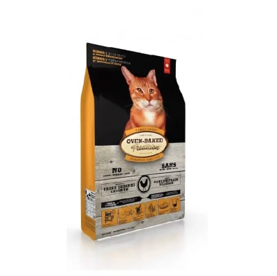 OBT TRADITION - SENIOR CAT1