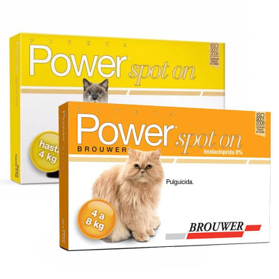 POWER SPOT ON2