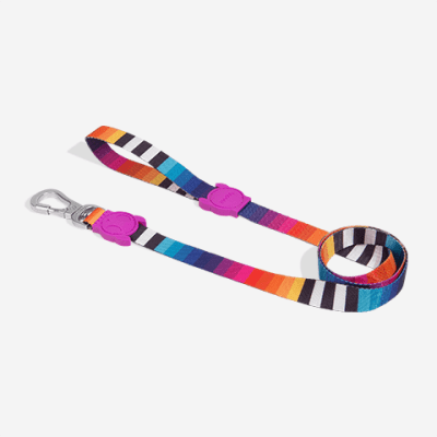 PRISMA LEASH