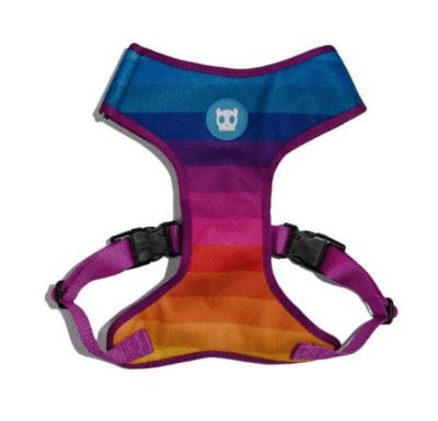 PRISMA AIR MESH HARNESS1