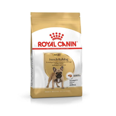 ROYAL BULLDOG FRANCES ADULTO1