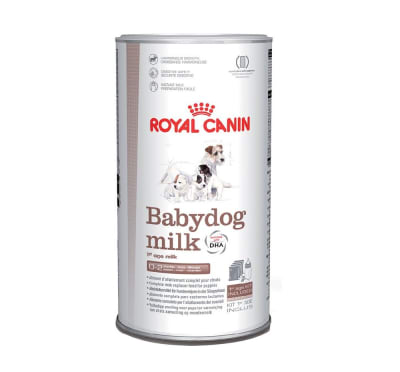 ROYAL BABY DOG MILK