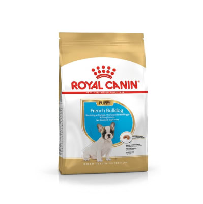 ROYAL BULLDOG FRANCES PUPPY1