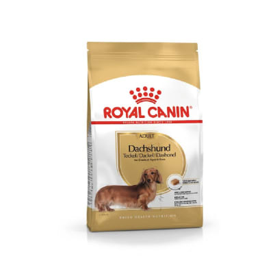 ROYAL DACHHUND TECKEL ADULTO