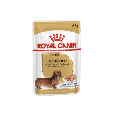 ROYAL DACHSHUND POUCH1