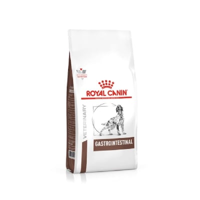 ROYAL GASTROINTESTINAL DOG