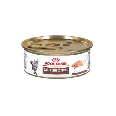 ROYAL GASTROINTESTINAL LATA FELINE