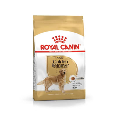 ROYAL GOLDEN RETRIEVER1