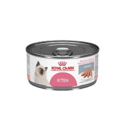 ROYAL KITTEN LATA