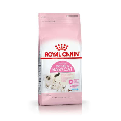 ROYAL MOTHER AND BABY CAT