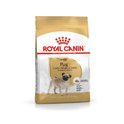 ROYAL PUG ADULTO