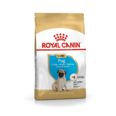 ROYAL PUG CACHORRO