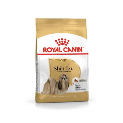 ROYAL SHIH TZU ADULTO