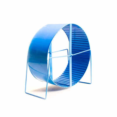 RUEDA METALICA ERIZO1