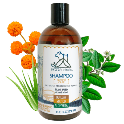 ECOAUS SHAMPOO QUILLAY MATICO Y ALOE