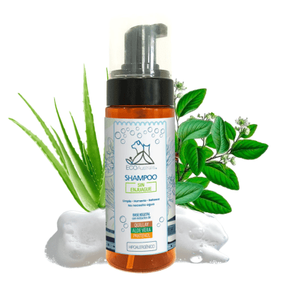 ECOAUS SHAMPOO SIN ENJUAGUE