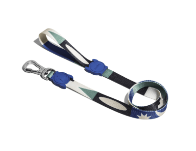 TAROT LEASH