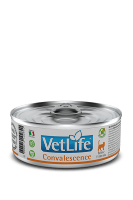 VET LIFE WF CAT CONVALESCENCE1