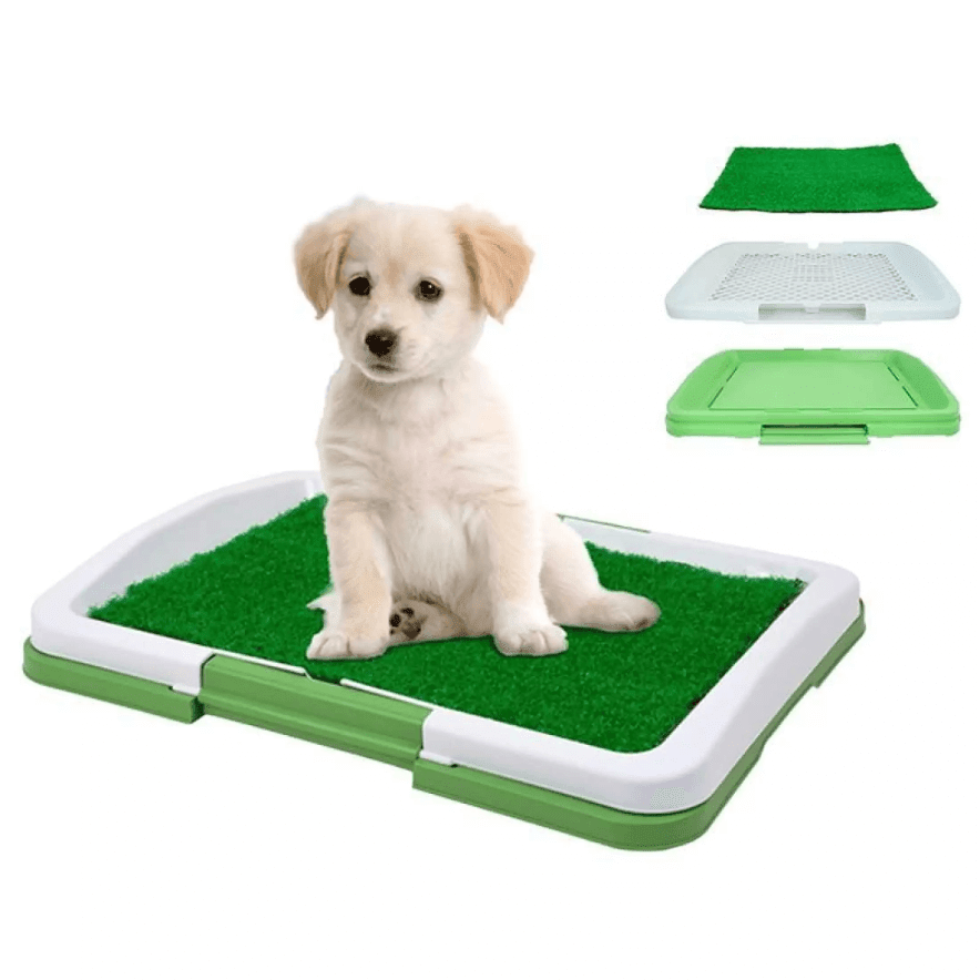 Tk Pet Bandeja Sanitaria Para Perros Kiwoko Csped Artificial Pet