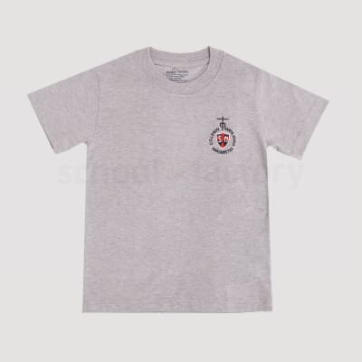 POLO GRIS DEPORTE S.M1