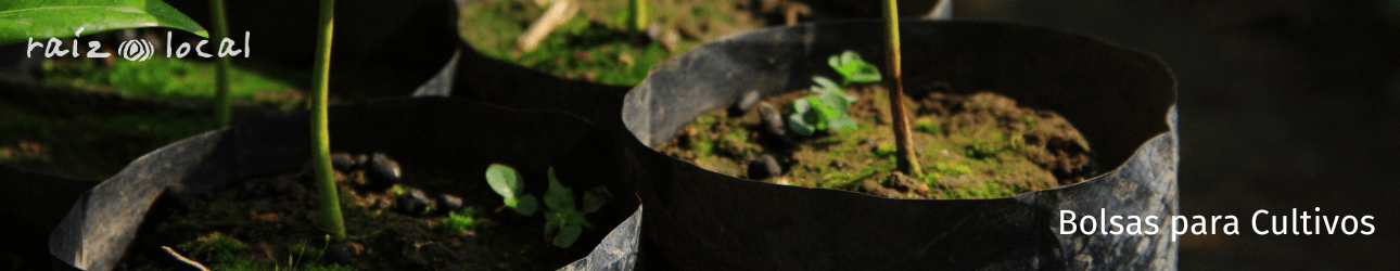 Bolsas para Cultivos