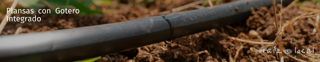 Plansas con Gotero Integrado