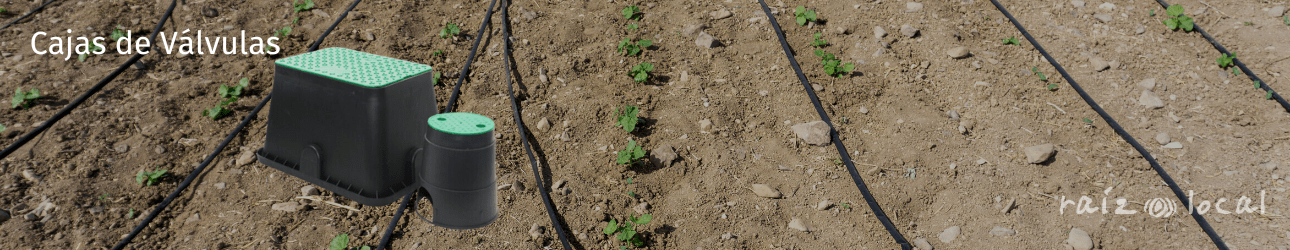 Cajas de Válvulas