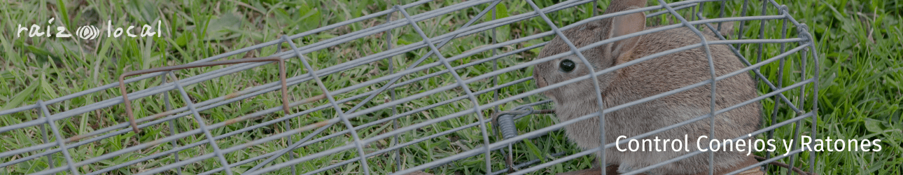 Control Conejos y Ratones