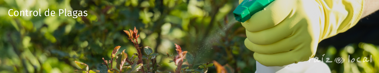 Control Plagas