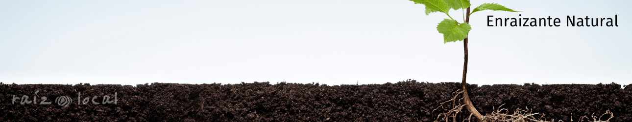 Enraizante Natural