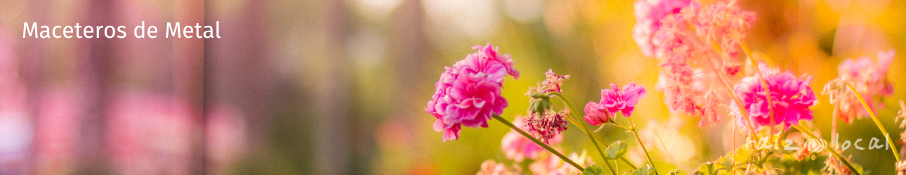 Maceteros de Metal