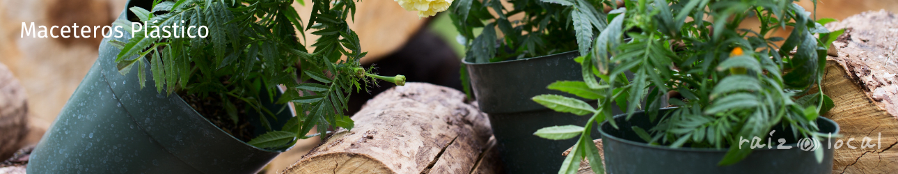 Maceteros Plásticos