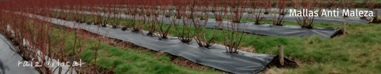Mallas anti Maleza