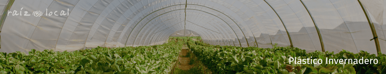 Plástico Invernadero