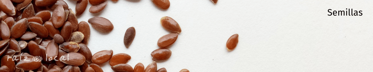 Semillas