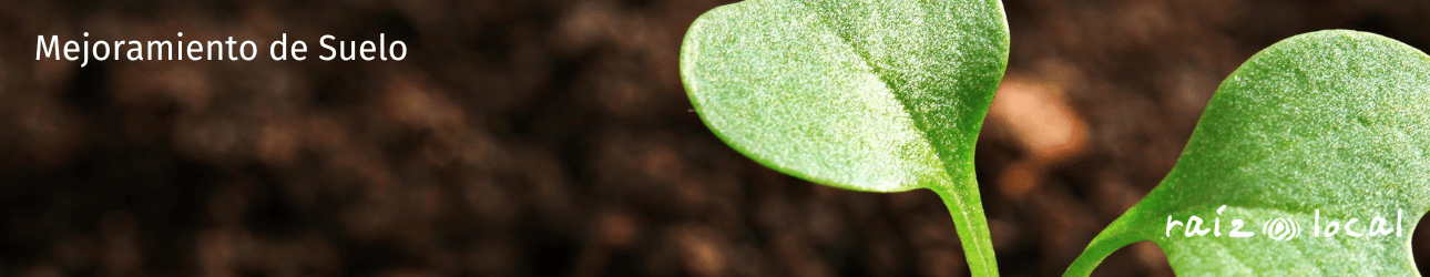 Mejoramiento de Suelo
