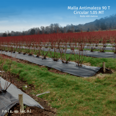 MALLA ANTIMALEZA 90 T. CIRCULAR 1.05 MT