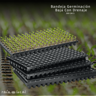 Bandeja Germinación Baja con Drenaje - 1.9mm Espesor para Cultivos Eficientes