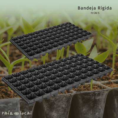 Bandeja Rígida 72 Cavidades - Propagación Profesional de Semillas