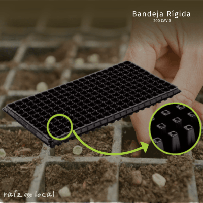 Bandeja Rígida 200 Cavidades - Propagación Masiva con Eficiencia
