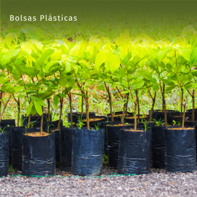 Bolsas Plásticas para Almácigos y Plantas 25x25