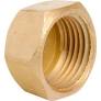 TAPAGORRO BRONCE HI