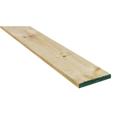 PINO BRUTO VERDE 3.2MTS
