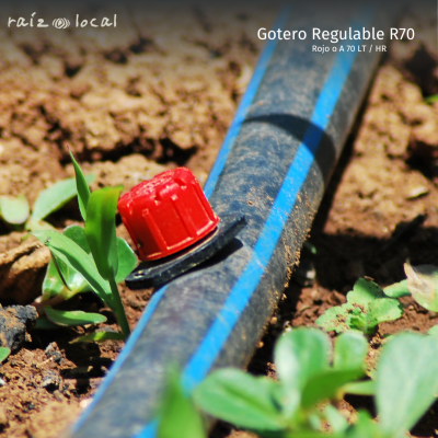 GOTERO REGULABLE R70